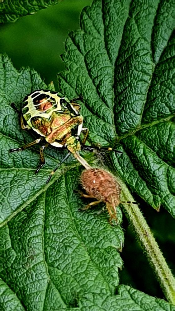 Photograph by Виктория Образцова