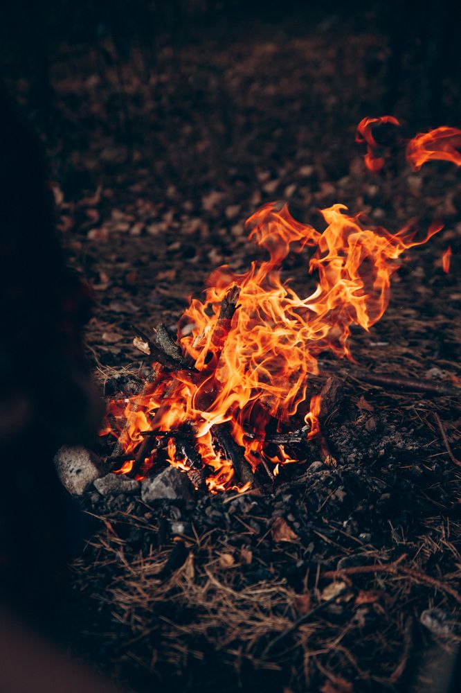 Photograph by Мария Корвин-Кучинская