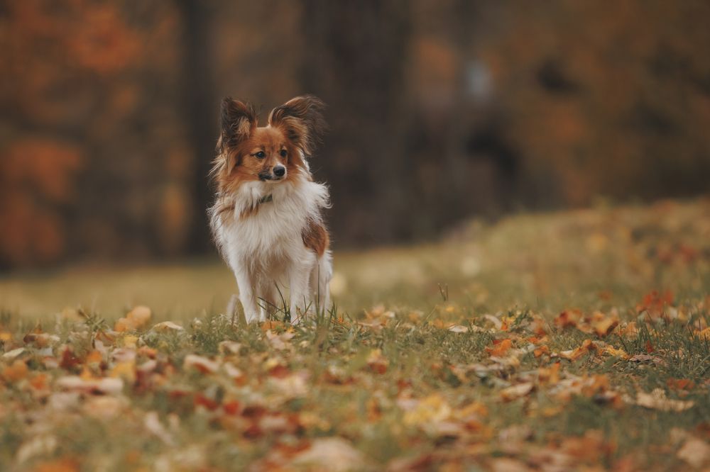 Photograph by Мария Клещенко