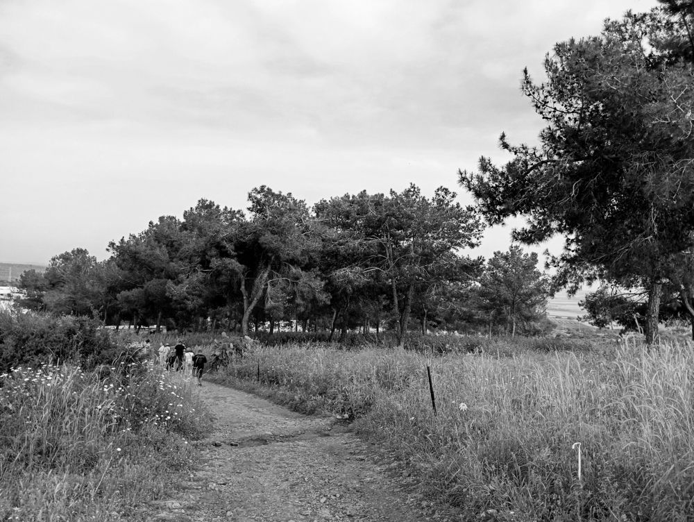 Endless fields.