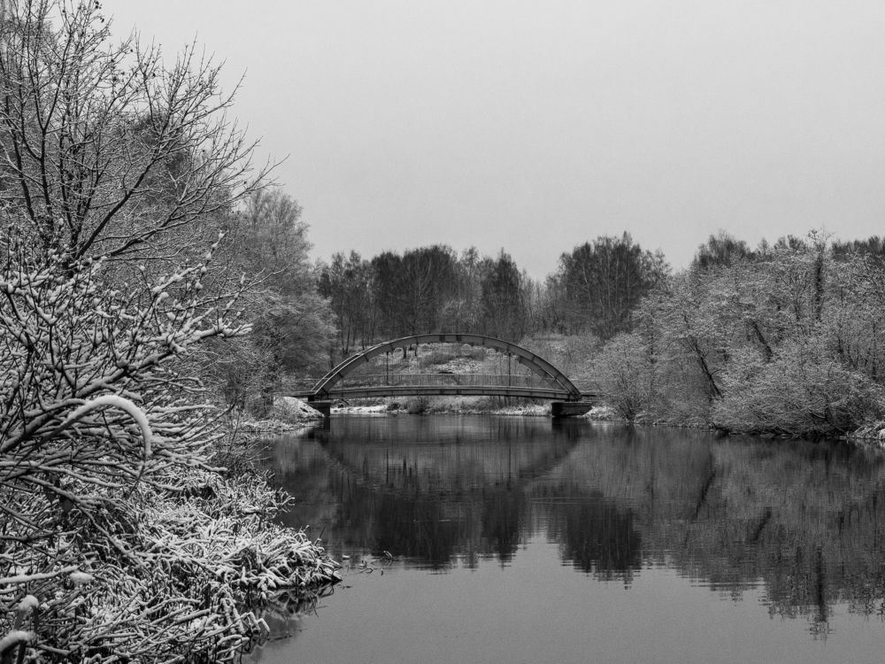 Photograph by Михаил Мостовой