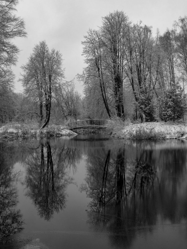 Photograph by Михаил Мостовой