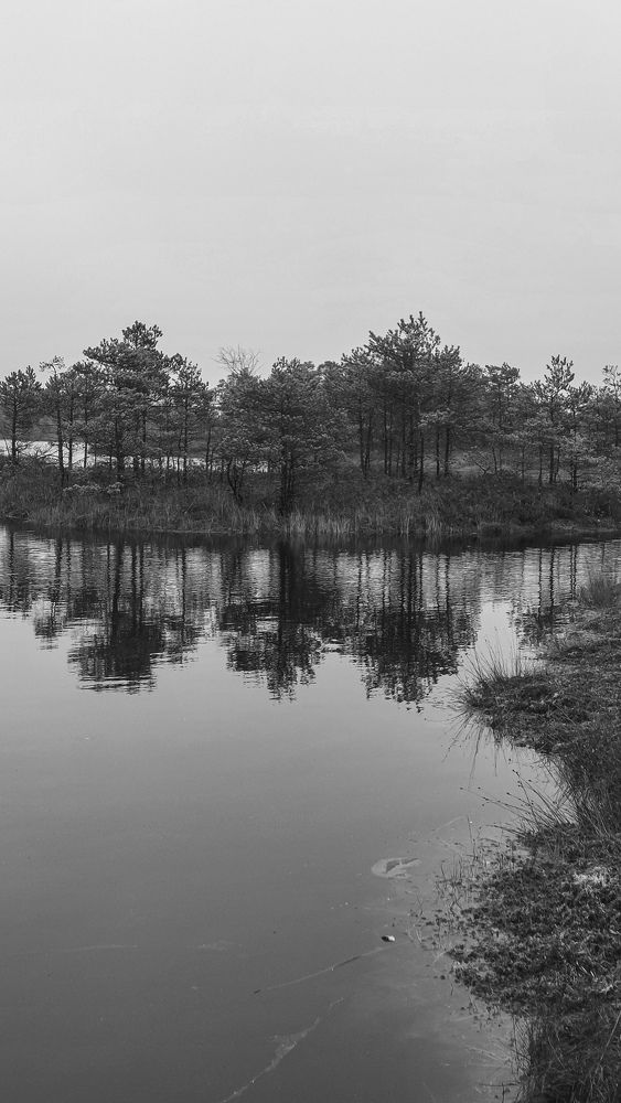 Photograph by Наталия Короленко