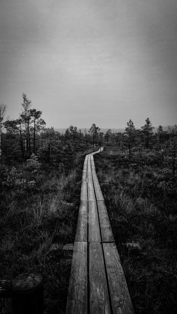 Photograph by Наталия Короленко