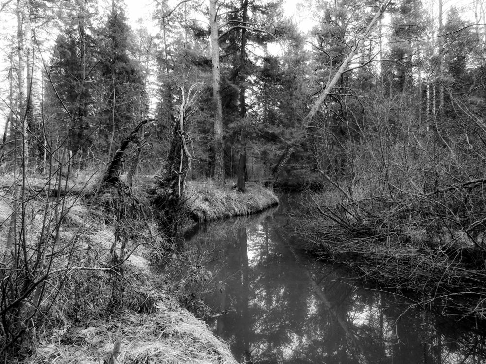 Вдоль русла Исы