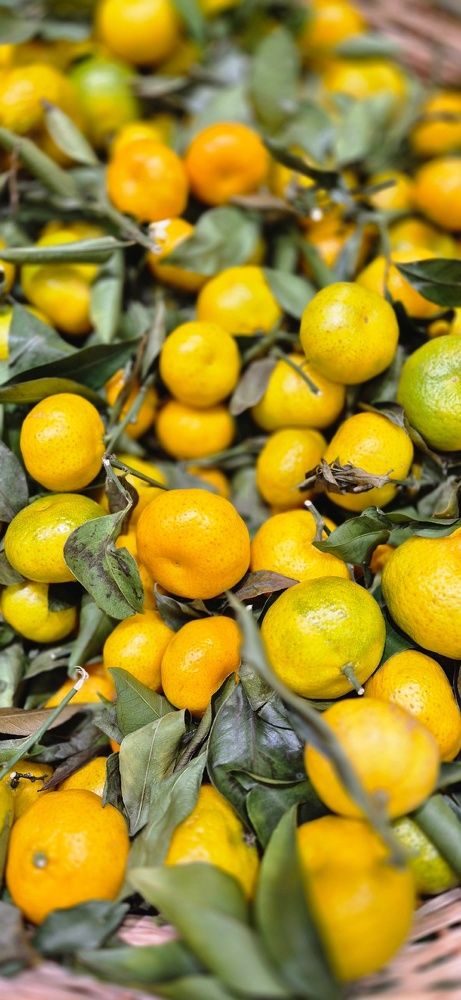 Фотография автора Ольга Мусина