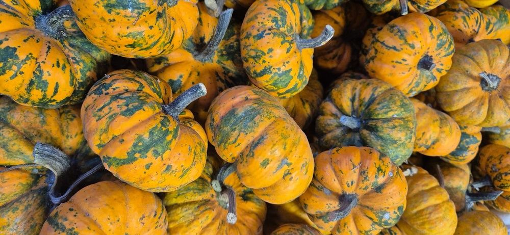 Фотография автора Ольга Мусина