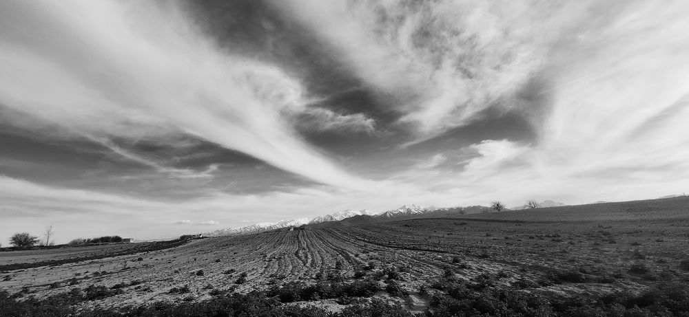 monochrome landscape