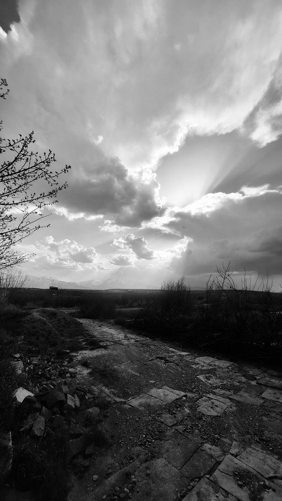 monochrome landscape