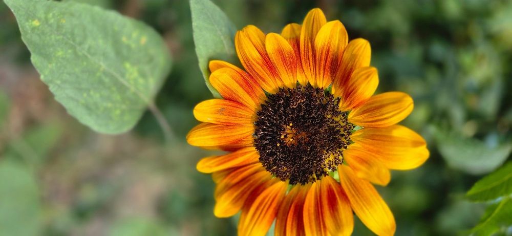 Фотография автора Ольга Мусина