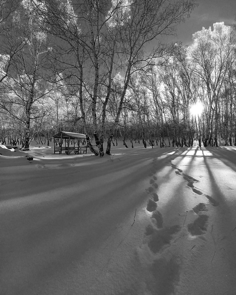 Photograph by Александра Королёва