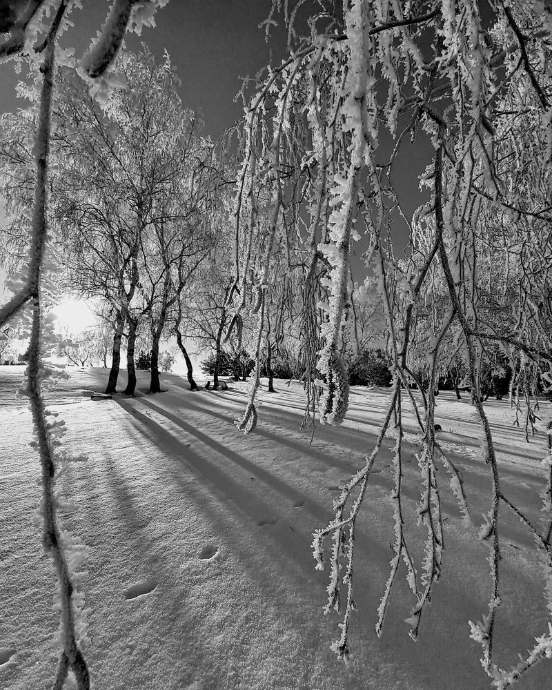 Photograph by Александра Королёва