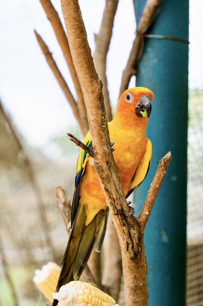 Photograph by Дулова Анастасия