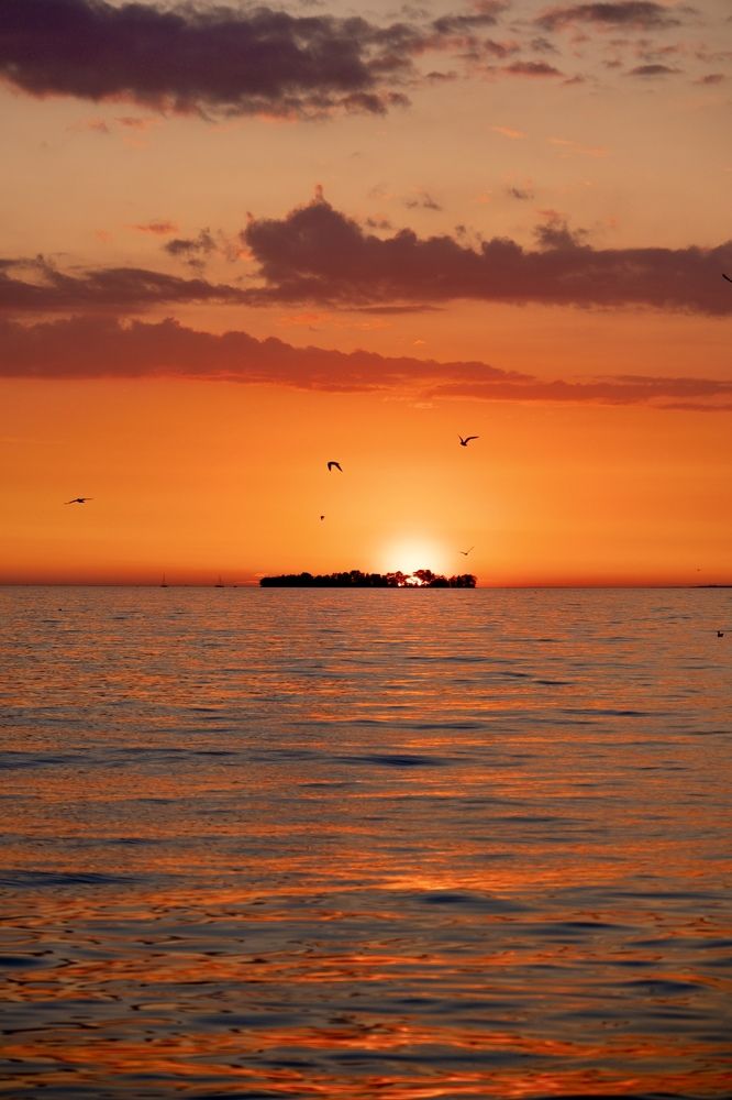 Photograph by Дулова Анастасия