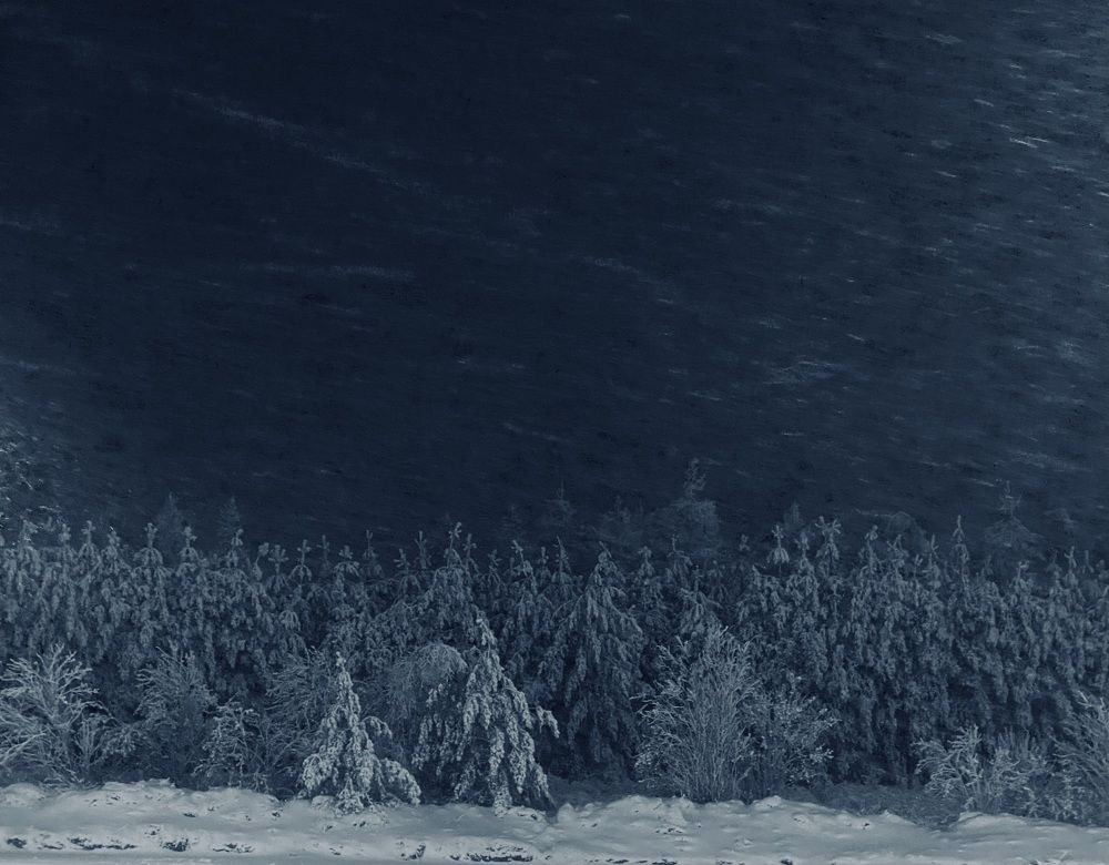 Photograph by Ксения Гулькова