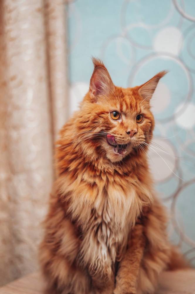 Photograph by Светлана Субботина