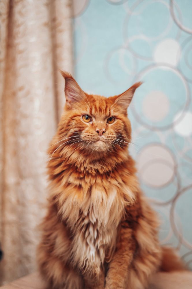 Photograph by Светлана Субботина