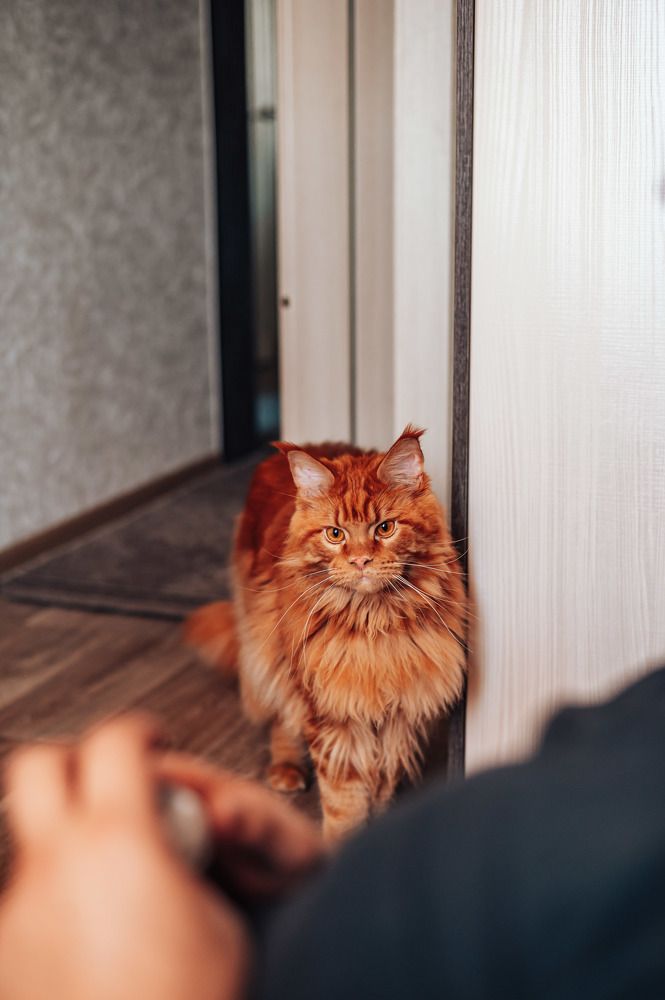 Photograph by Светлана Субботина