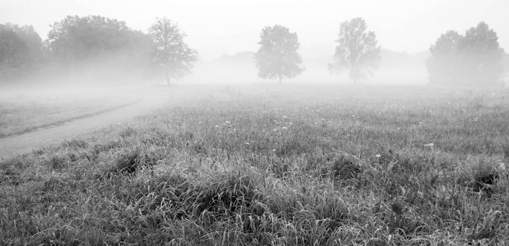 Фотография автора Александр