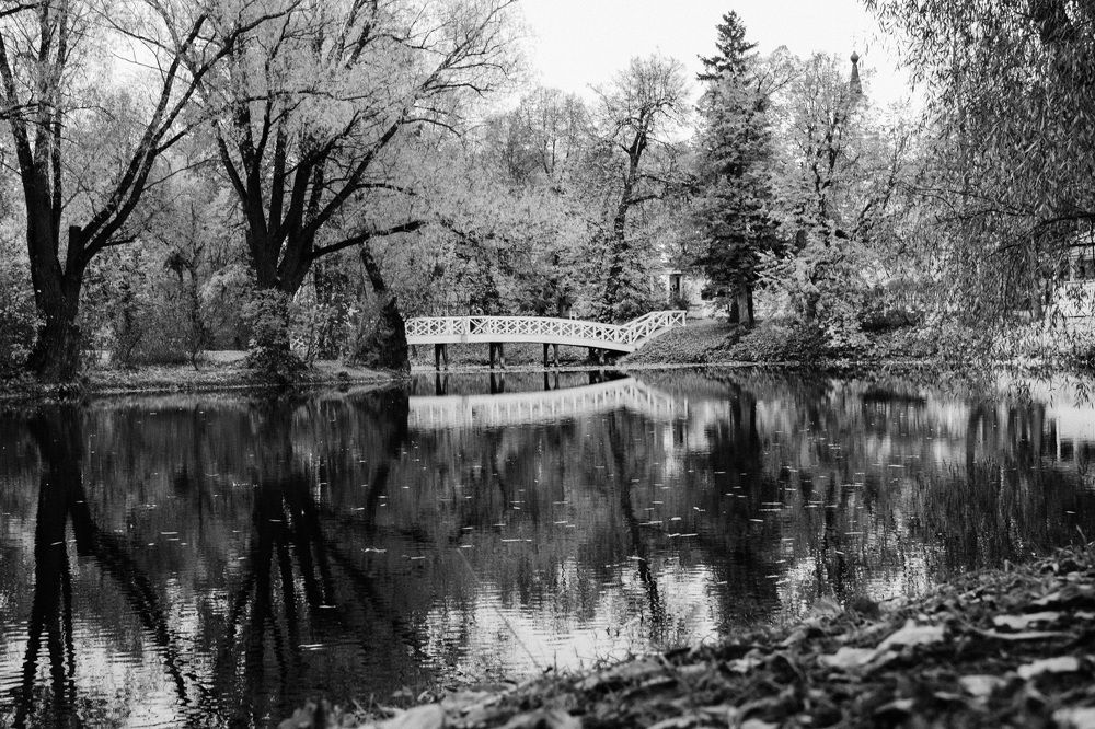 Photograph by Светлана Субботина