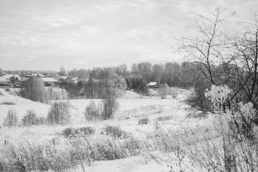 Photograph by Светлана Субботина