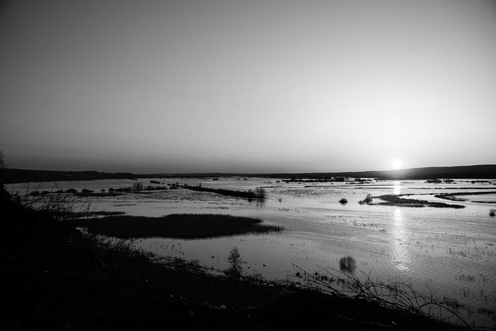 Photograph by Светлана Субботина