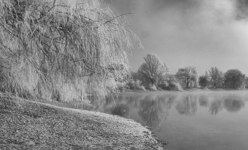 Фотография автора Александр