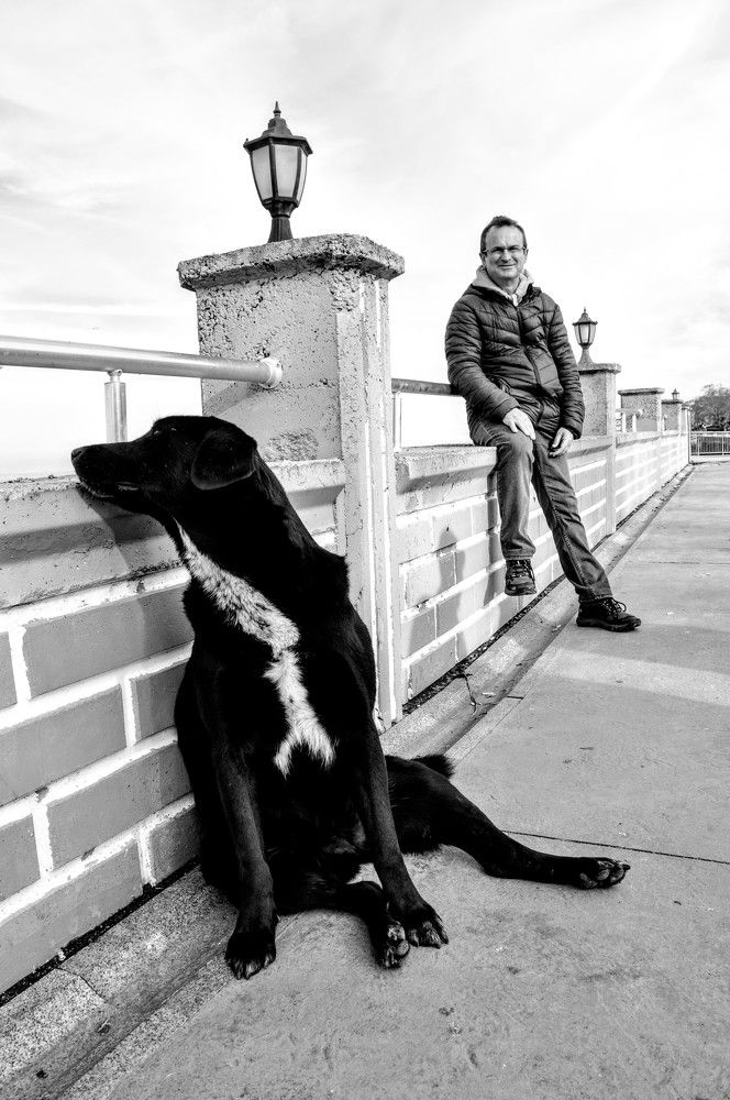 The dog that is sulk with its owner