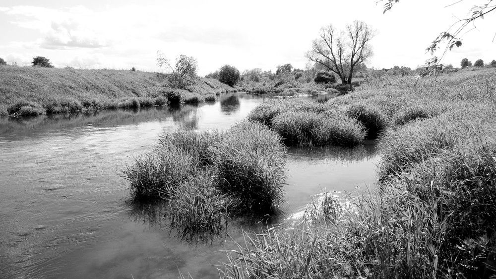 Photograph by Елена Казарина