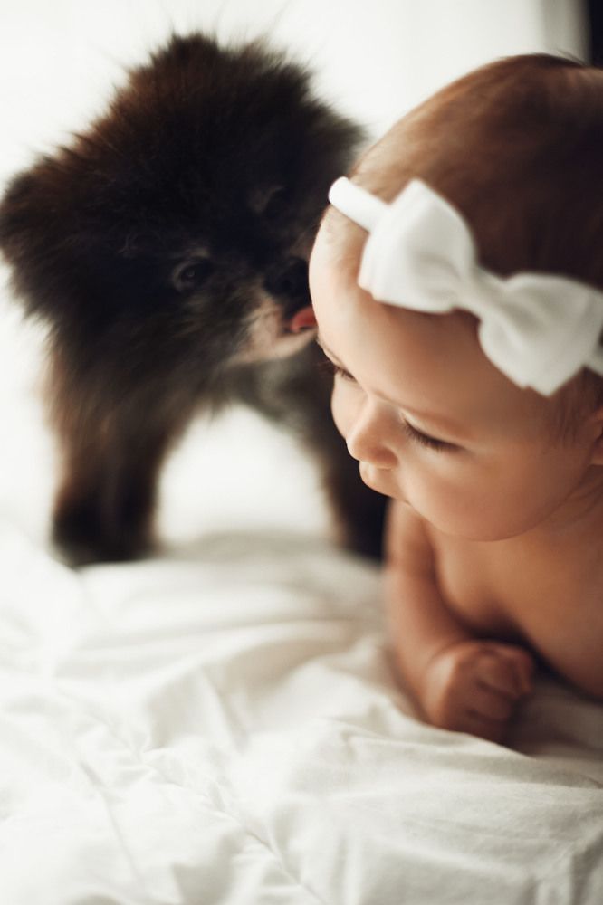 Photograph by Анна Тарутина