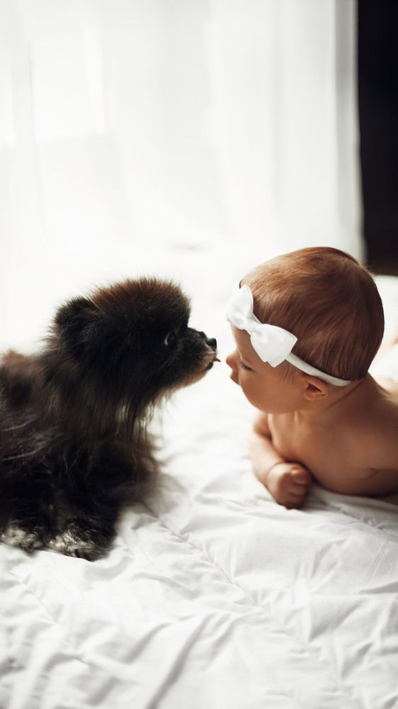 Photograph by Анна Тарутина