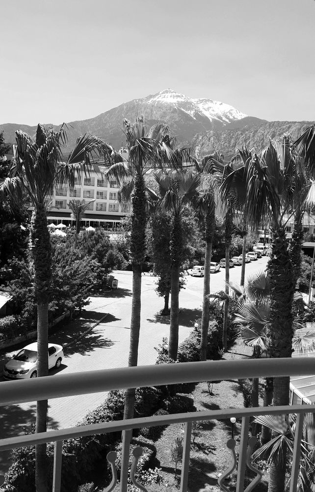 Фотография автора Юлия Сурина