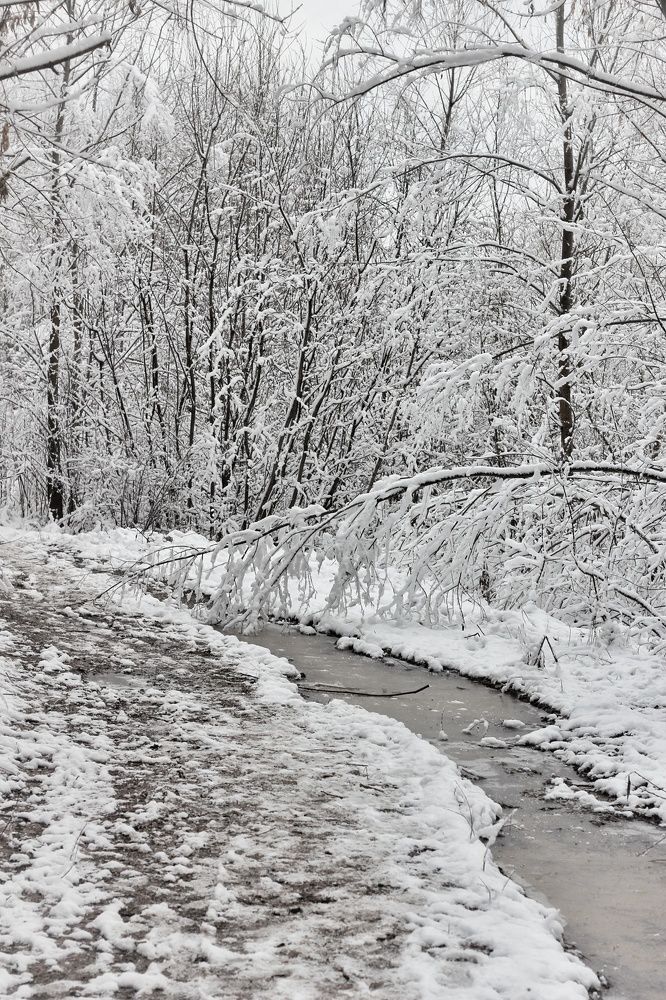 Photograph by Елена Силантьева