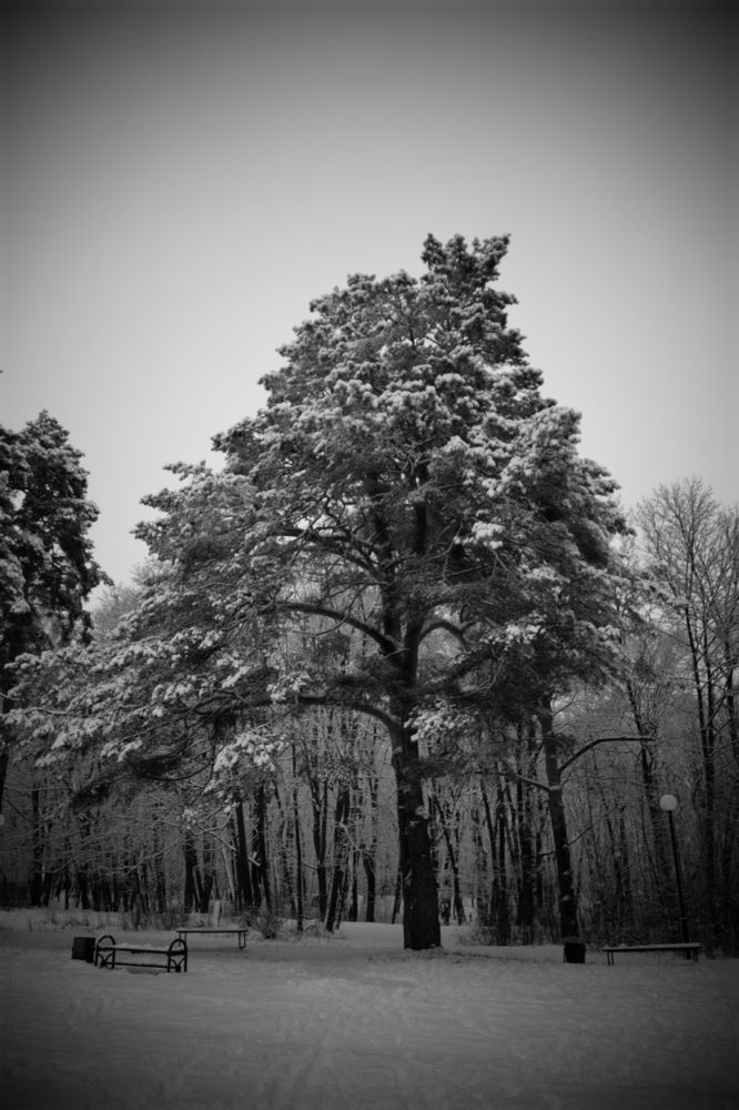 Photograph by Ольга Рыкова