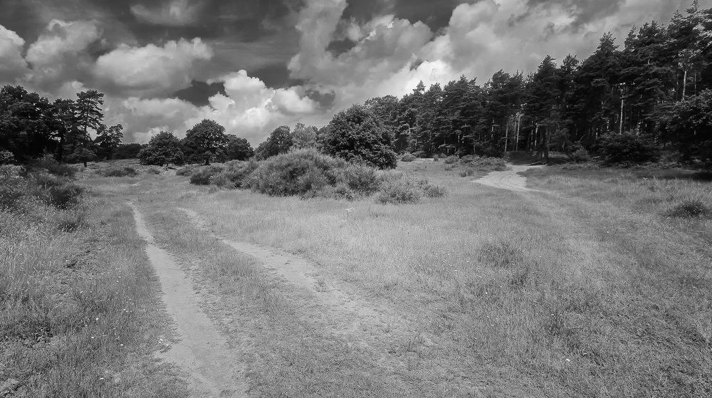 Фотография автора Александр