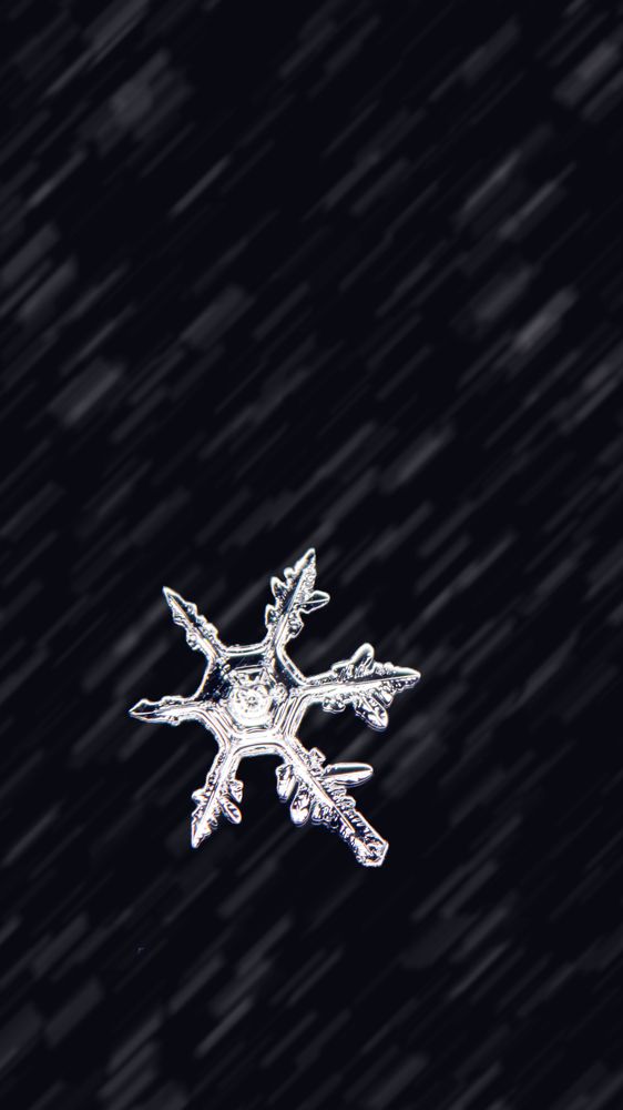 Photograph by Мешков Кирилл