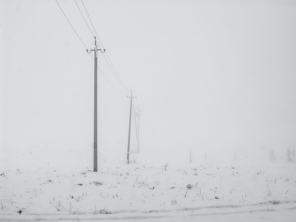 Photograph by z14photo