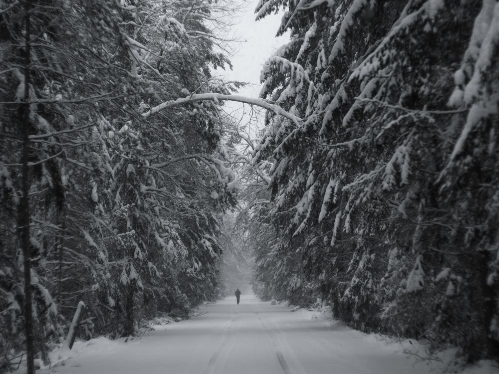 Photograph by z14photo