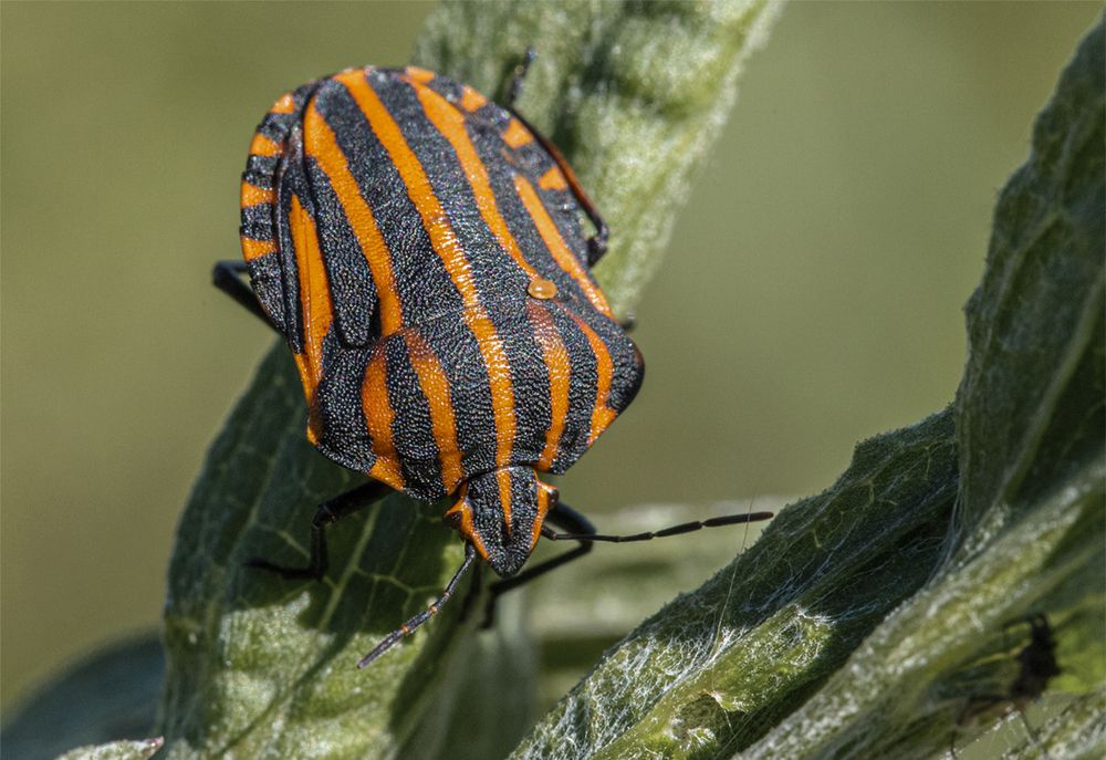 Photograph by Максим Мураков