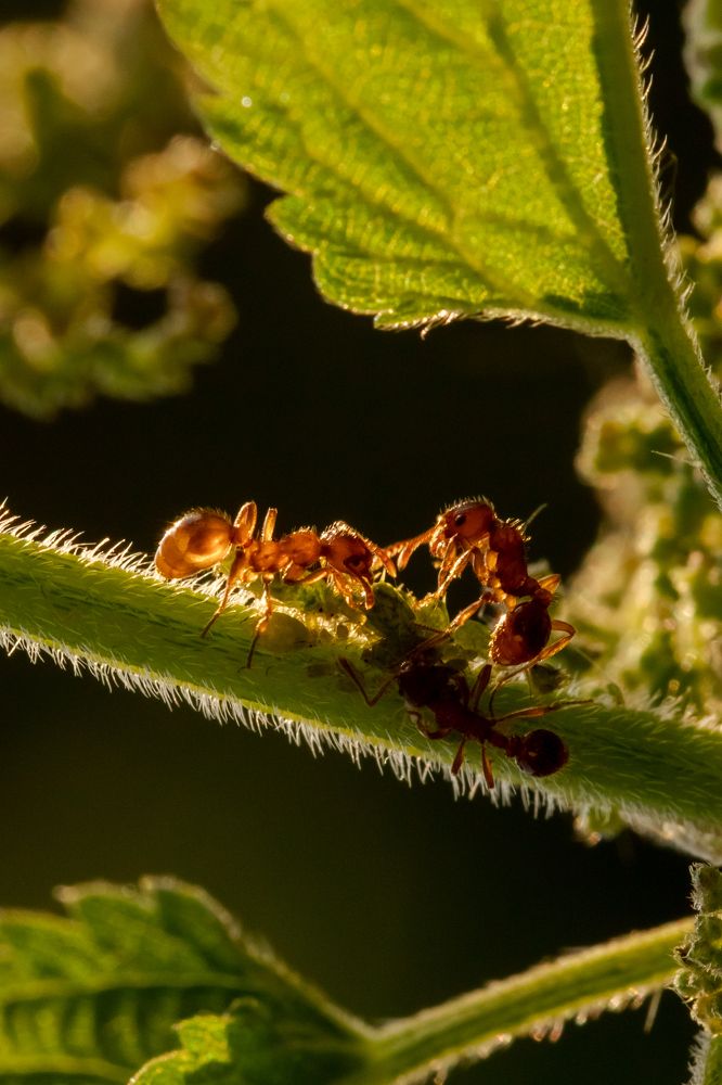Photograph by Мешков Кирилл