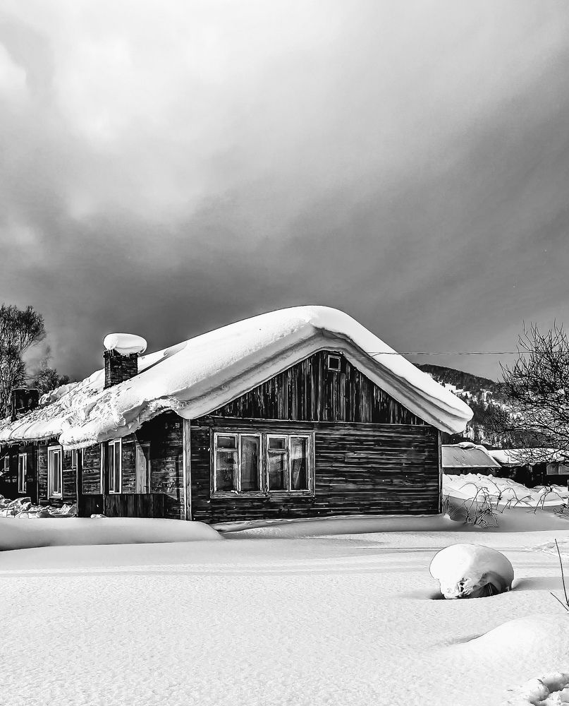 Фотография автора Елена