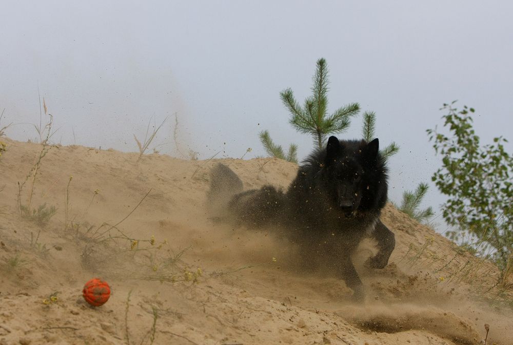 Фотография автора Надежда Лисицына