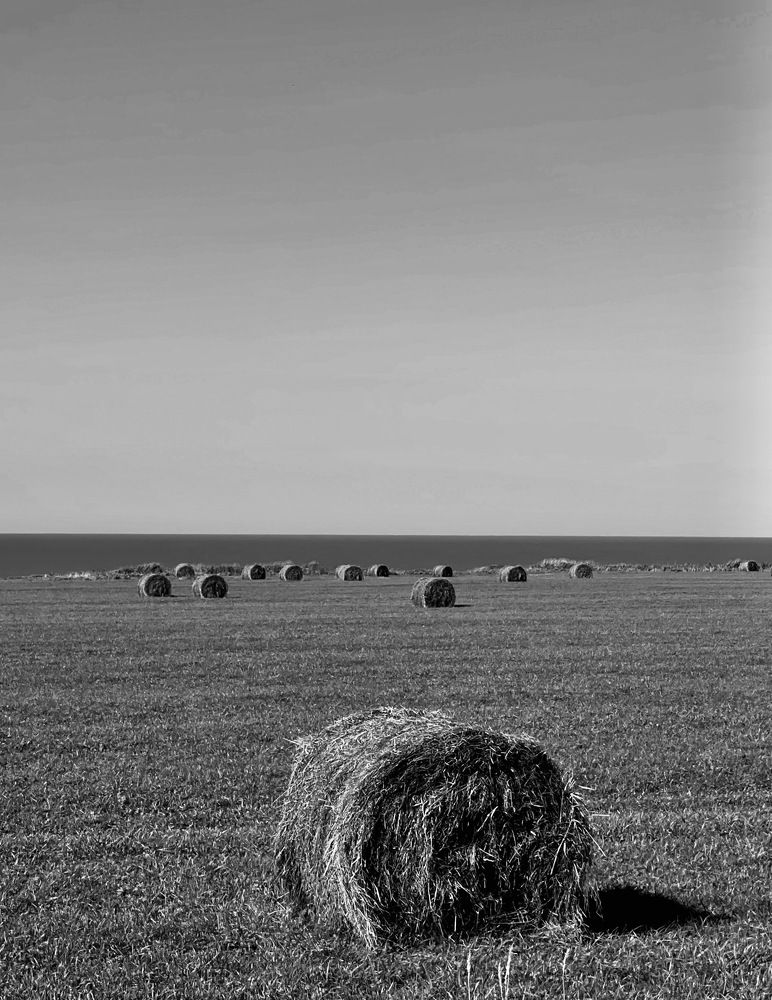 Фотография автора Елена