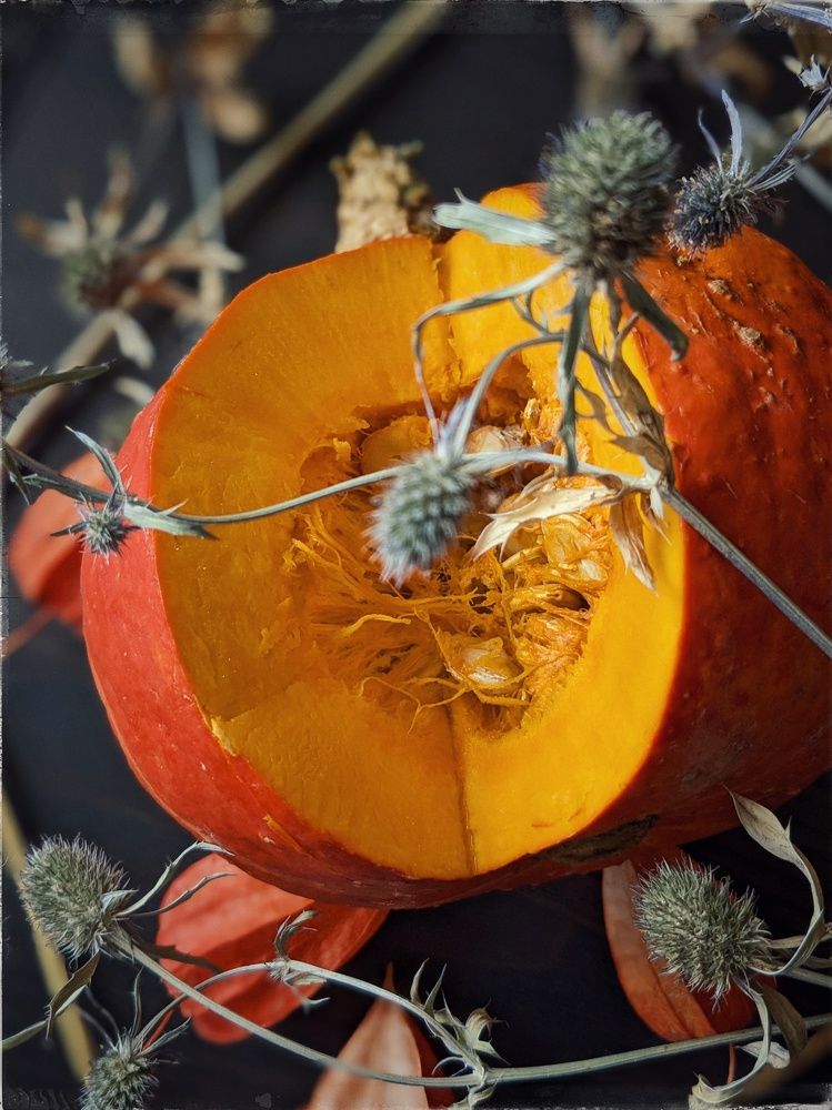 Photograph by Екатерина Чижевская