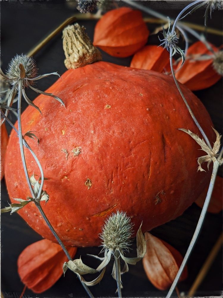 Photograph by Екатерина Чижевская