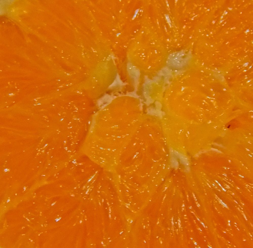 Photograph by Dragoslav Macanović