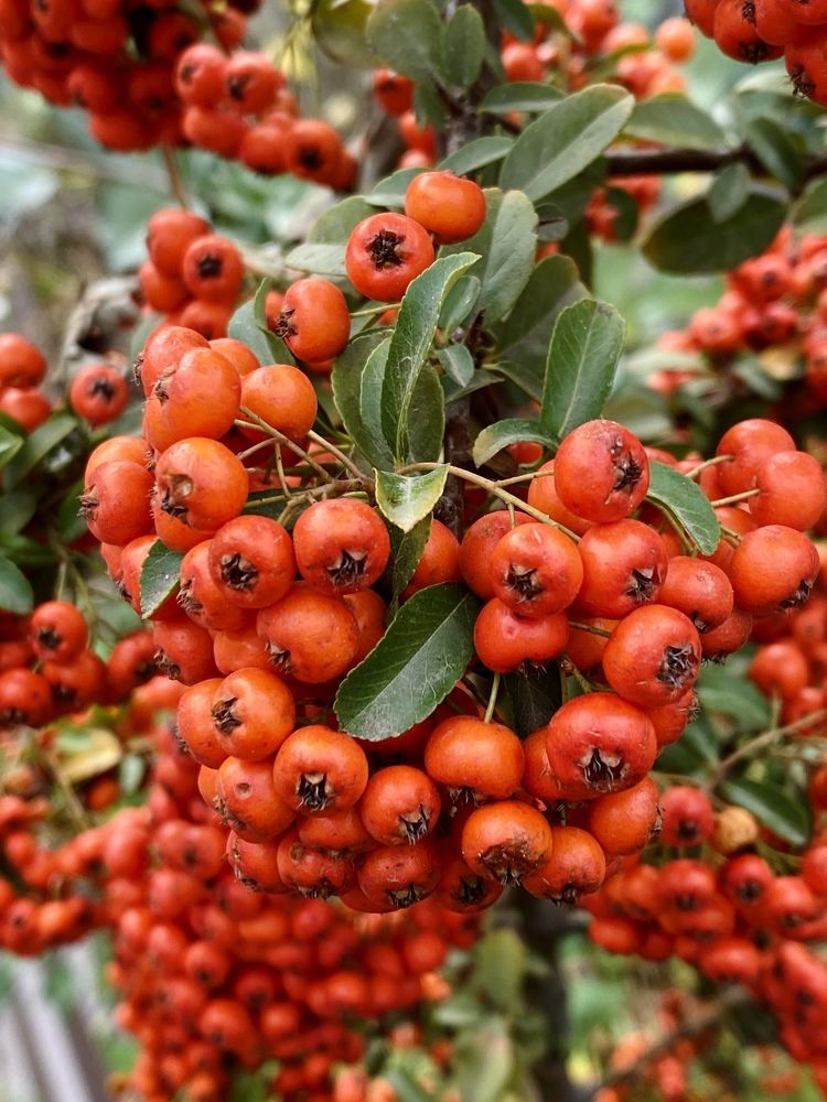 Photograph by Юлия Сушко