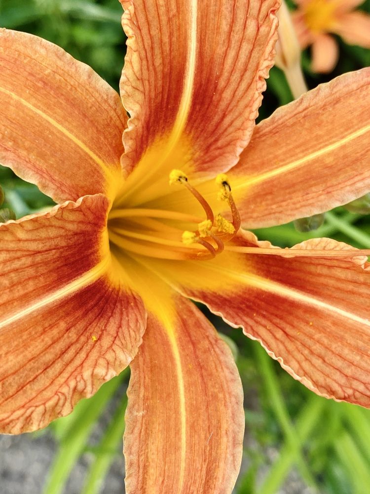 Photograph by Юлия Сушко