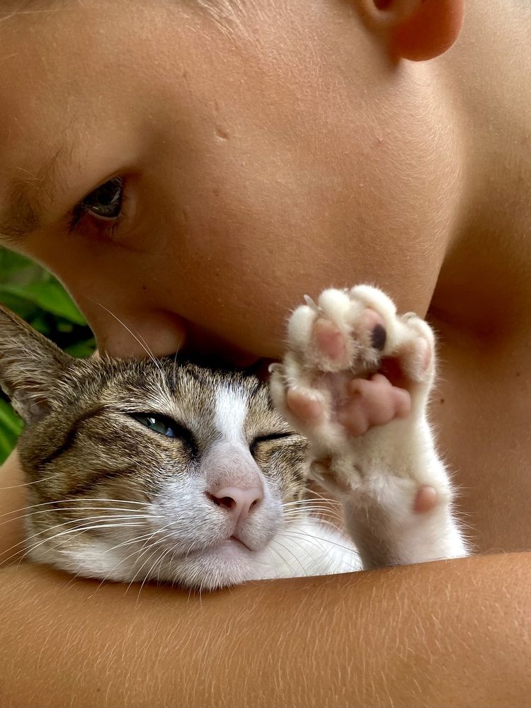 Photograph by Ирина Сорока