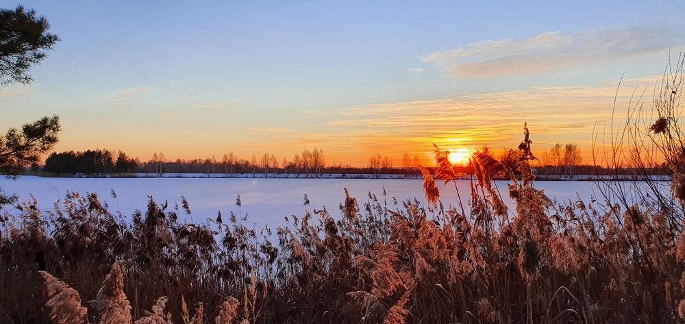 Photograph by Ольга Дёмина